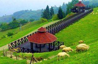 家庭牧场2,绿色生态农业的田园诗篇