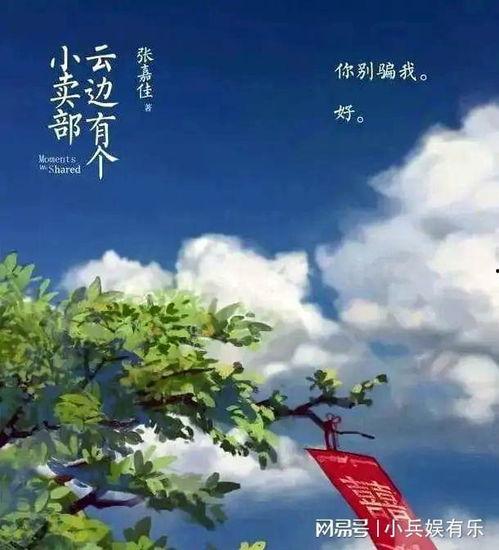 云边有个小卖部,时光流转中的温暖记忆