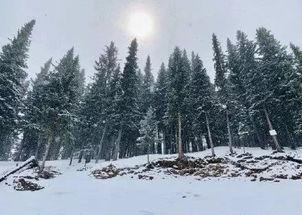 大雪海的凯纳,探寻神秘海域的奇幻之旅